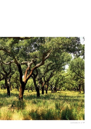 S U S TA I N A B I L I T Y | 1 7
 