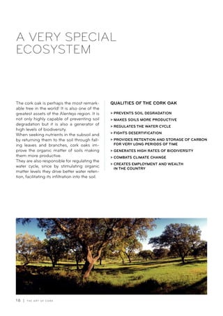 1 8 | T H E A R T O F C O R K
The cork oak is perhaps the most remark-
able tree in the world! It is also one of the
greatest assets of the Alentejo region. It is
not only highly capable of preventing soil
degradation but it is also a generator of
high levels of biodiversity.
When seeking nutrients in the subsoil and
by returning them to the soil through fall-
ing leaves and branches, cork oaks im-
prove the organic matter of soils making
them more productive.
They are also responsible for regulating the
water cycle, since by stimulating organic
matter levels they drive better water reten-
tion, facilitating its infiltration into the soil.
A VERY SPECIAL
ECOSYSTEM
QUALITIES OF THE CORK OAK
 PREVENTS SOIL DEGRADATION
 MAKES SOILS MORE PRODUCTIVE
 REGULATES THE WATER CYCLE
 FIGHTS DESERTIFICATION
 PROVIDES RETENTION AND STORAGE OF CARBON
FOR VERY LONG PERIODS OF TIME
 GENERATES HIGH RATES OF BIODIVERSITY
 COMBATS CLIMATE CHANGE
 CREATES EMPLOYMENT AND WEALTH
IN THE COUNTRY
 