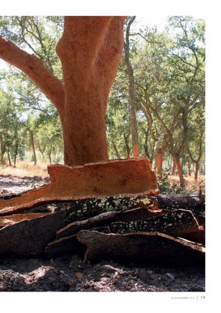 S U S TA I N A B I L I T Y | 1 9
 