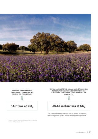 S U S TA I N A B I L I T Y | 2 1
30.66 million tons of CO2
THE CORK OAK FOREST HAS
THE CAPACITY TO ABSORB 14.7
TONS OF CO2
PER HECTARE*
The carbon fixed by the cork oak is stored in the cork,
remaining there for the entire lifetime of the product.
EXTRAPOLATING TO THE GLOBAL AREA OF CORK OAK
FORESTS, THE WESTERN MEDITERRANEAN HAS
A RETAINING CAPACITY OF ABOUT 30.66 MILLION
TONS OF CO2
(*) Source: Instituto Superior de Agronomia (Portuguese
School of Agriculture), 2014
14.7 tons of CO2
 