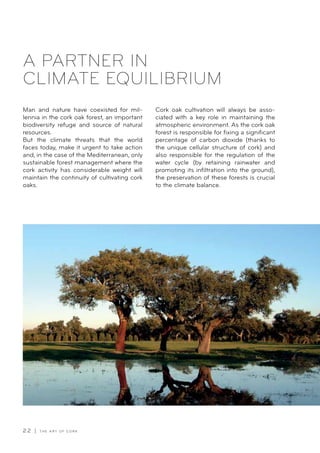 2 2 | T H E A R T O F C O R K
A PARTNER IN
CLIMATE EQUILIBRIUM
Man and nature have coexisted for mil-
lennia in the cork oak forest, an important
biodiversity refuge and source of natural
resources.
But the climate threats that the world
faces today, make it urgent to take action
and, in the case of the Mediterranean, only
sustainable forest management where the
cork activity has considerable weight will
maintain the continuity of cultivating cork
oaks.
Cork oak cultivation will always be asso-
ciated with a key role in maintaining the
atmospheric environment. As the cork oak
forest is responsible for fixing a significant
percentage of carbon dioxide (thanks to
the unique cellular structure of cork) and
also responsible for the regulation of the
water cycle (by retaining rainwater and
promoting its infiltration into the ground),
the preservation of these forests is crucial
to the climate balance.
 