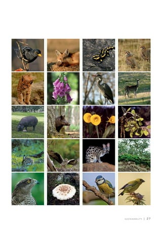 S U S TA I N A B I L I T Y | 2 7
 