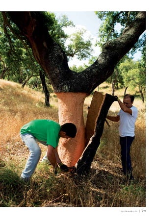 S U S TA I N A B I L I T Y | 2 9
 