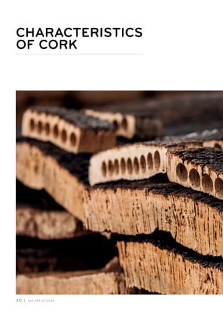 3 0 | T H E A R T O F C O R K
CHARACTERISTICS
OF CORK– ––––
 