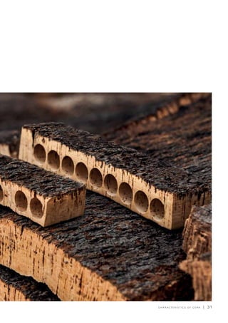 C H A R A C T E R I S T I C S O F C O R K | 3 1
 