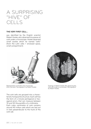 3 2 | T H E A R T O F C O R K
A SURPRISING
“HIVE” OF
CELLS
THE VERY FIRST CELL...
was identified by the English scientist
Robert Hooke, who observed tiny pieces of
cork under a microscope. Hooke observed
small cavities which he named “cells”
(from the Latin cella = enclosed space,
small compartment).
The cork cells are grouped into a charac-
teristic honeycomb structure. Each cell has
the form of a minute pentagonal or hex-
agonal prism, that can measure between
10 and 50 thousandths of a millimetre.
Each cubic centimetre of cork contains
around 40 million cells which are laid out
in rows perpendicular to the trunk of the
cork oak.
Representation of Hooke’s first microscope
(from the book “Micrographia” by Robert Hooke).
Drawings of Robert Hooke after observing the
cork cells under a microscope (“Micrographia”
by Robert Hooke).
 