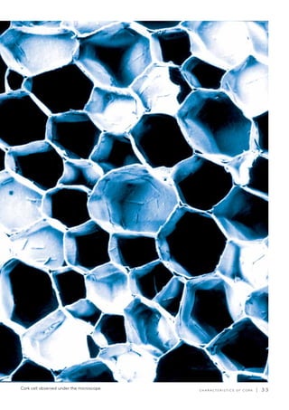 C H A R A C T E R I S T I C S O F C O R K | 3 3Cork cell observed under the microscope.
 