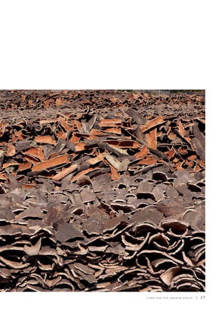 C O R K A N D T H E A M O R I M G R O U P | 3 7
 