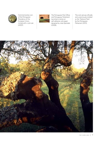 T H E C O R K O A K | 7
Commemorative coin
of the Portuguese
Presidency of the
European Union,
minted with a cork oak
(2007).
The Portuguese Post Office
and Portuguese Parliament
launched a stamp on
self-adhesive cork paper
designed by João Machado
(2008).
The cork oak was officially
and unanimously instated
as the “National Tree”,
by the Portuguese
Parliament (2011).
 