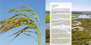 História
history
Aquando da aquisição da Atlantic Company (actualmente Herdade
da Comporta) em 1955, houve uma preocupação assistencial no
âmbito da melhoria das condições de vida das populações. Neste
contexto, foram construídas casas para alojar os trabalhadores e suas
famílias; foi garantida assistência médica; foram construídas escolas
e contratados professores e, no âmbito cultural, eram organizadas as
festas das aldeias.
No seguimento deste trabalho, interrompido entre 1975 e 1991,
foram “restabelecidas” parcerias de índole social com as Câmaras
Municipais de Alcácer do Sal e Grândola nos pelouros da habitação,
educação e cultura. Em 2004, com o apoio da Herdade da Comporta
e das Câmaras Municipais de Alcácer do Sal e Grândola, foi criada a
Fundação Herdade da Comporta.
A partir de 2011, a Fundação Herdade da Comporta começou
a desenvolver as suas próprias acções sem deixar de apoiar as
entidades que dependiam dos seus fundos: Centro Social e Paroquial
de S. Pedro da Comporta; Centro Social do Carvalhal; Clube Recreativo
da Comporta; Junta de Freguesia do Carvalhal; Junta de Freguesia
da Comporta; Bombeiros Voluntários do Carvalhal; Clube de Futebol
Alcacerense; Hóquei Clube Patinagem de Grândola e outras iniciativas
de carácter cultural, desportivo e lúdico.
..............................
The Foundation builds its activities on the longstanding tradition and
engagement with the region. Original ties go back to 1955, when the original
Atlantic Company (nowadays Herdade da Comporta) committed with resident
population life conditions. At the time, housing, schooling and medical
assistance was provided to rural workers and their families, as well as the
promotion of cultural activities through village traditional parties.
 
More recently, except for the transition period 1975-1991, it has picked
up on the social assistance spirit, by forging social partnerships with local
municipalities, Alcácer do Sal and Grândola, covering areas such as social
housing, education and cultural activities. In 2004 Herdade da Comporta
Foundation was established with the support of Herdade da Comporta and
the local municipalities.
Since 2011, the Herdade da Comporta Foundation began developing its own
activities while supporting entities that depended on it’s funds: São Pedro
da Comporta Social and Religious Centre; Carvalhal Council; Comporta Council;
Carvalhal Social Centre; Herdade da Comporta Recreational Club; Carvalhal
Firefight Department; Alcacerense Football Club; Grândola Hockey and Skating
Club; and other cultural, commermorative and sports activities.
 