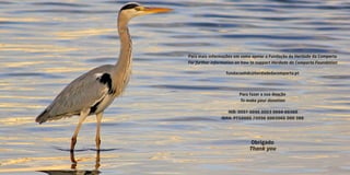 Para mais informações em como apoiar a Fundação da Herdade da Comporta
For further information on how to support Herdade da Comporta Foundation
fundacaohdc@herdadedacomporta.pt
Para fazer a sua doação
To make your donation
NIB: 0007 0096 0003 0660 00388
IBAN: PT50000 70096 0003066 000 388
Obrigado
Thank you
 