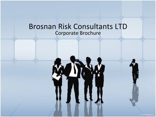 Brosnan Risk Consultants LTD Corporate Brochure 