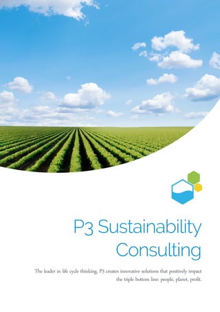 P3 Sustainability Consulting 
The leader in life cycle thinking, P3 creates innovative solutions that positively impact the triple bottom line: people, planet, profit.  