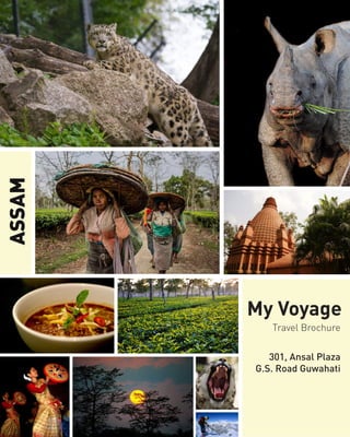 ASSAM
My Voyage
Travel Brochure
301, Ansal Plaza
G.S. Road Guwahati
 