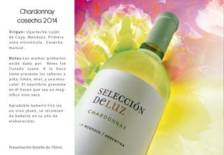 Brochure Proyecto De Luz