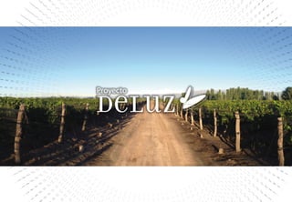 Brochure Proyecto De Luz