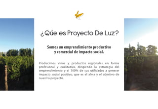 Brochure Proyecto De Luz