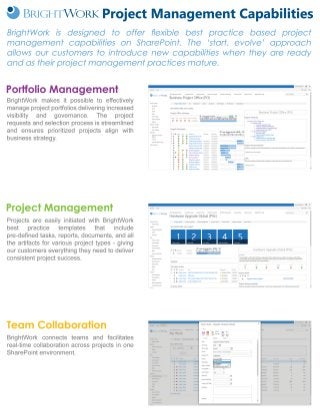 BrightWork Project Management Capabilities