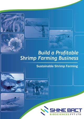Sustainable Shrimp Farming
 
