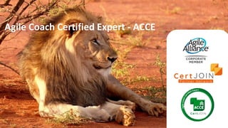 Agile Coach Certified Expert - ACCE
 