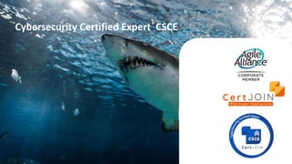 Cybersecurity Certified Expert CSCE
 