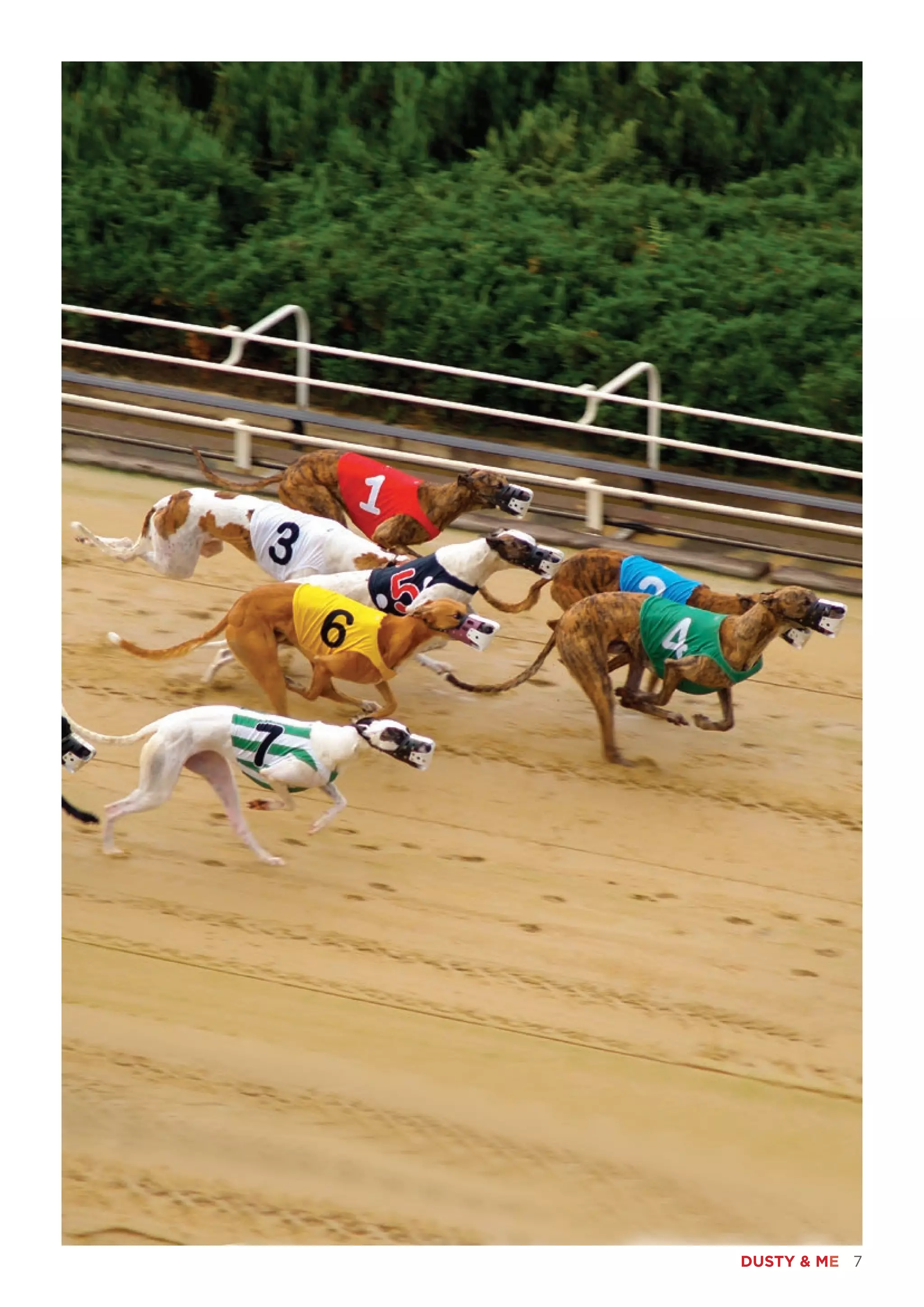DUSTY & ME 7
 