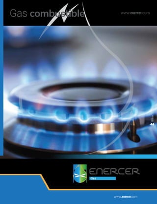 www.enercer.com
www.enercer.com
Gas combustible
 