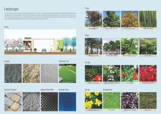 Trees 
Bauhinia Blakeana Lagerstroemia Speciosa Cassia fistula flower Phyllostachys edulis 
Palms 
Phoenix dactylifera Washingtonia robusta Chrysalidocarpus lutescens Caryota mitis 
http://www.m3mnewprojects.co.in/m3m-urbana-sector-67-gurgaon/ 
Shrubs 
Hibiscus rosa sinensis Taberneamontana divaricata Canna generalis Bougainvillea poultonii 
Shrubs Groundcover 
Allamanda cathartica Ficus pumila Alternanthera dentata Rhoeo dwarf 
Landscape 
For M3M Urbana, Element Design Studio raises things up a notch, with a central pedestrian plaza bedecked with enthralling promenades and 
esplanades with bracing walkways and enhanced with Pergola roof design and Misting Facility, sparkling fountains, a gorgeous blue pool, sit-out, hi-street 
retail, spot parks, food kiosks, on-site parking areas, internal driveways, dedicated drop-off zones and larger than life entrances. Together, they 
spell a richly adorned landscape that conceals bliss and surprises at every twist, step and turn. 
Entry 
Granite Artificial Turf 
Concrete Pavers Subsoil Drain Mat Ceramic Tiles 
 