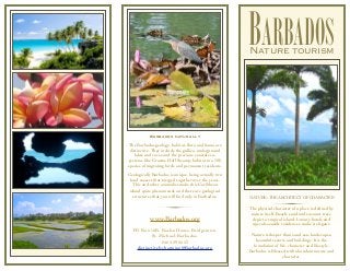 BARBADOS
                                                      NATURE TOURISM




           Barbados naturally
The Barbad...