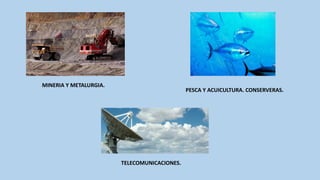 PESCA Y ACUICULTURA. CONSERVERAS.
MINERIA Y METALURGIA.
TELECOMUNICACIONES.
 