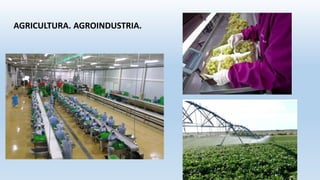 AGRICULTURA. AGROINDUSTRIA.
 