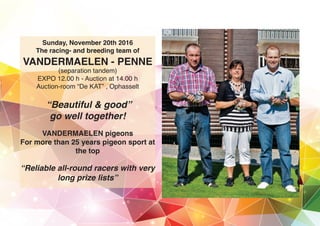 Sunday, November 20th 2016
The racing- and breeding team of
VANDERMAELEN - PENNE
(separation tandem)
EXPO 12.00 h - Auction at 14.00 h
Auction-room “De KAT” , Ophasselt
“Beautiful & good”
go well together!
VANDERMAELEN pigeons
For more than 25 years pigeon sport at
the top
“Reliable all-round racers with very
long prize lists”
 