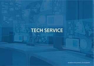 TECH SERVICE
Business Intelligence Outsourcing
 