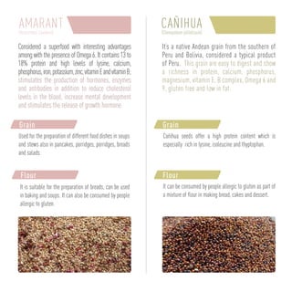 Brochure andean taste | PDF