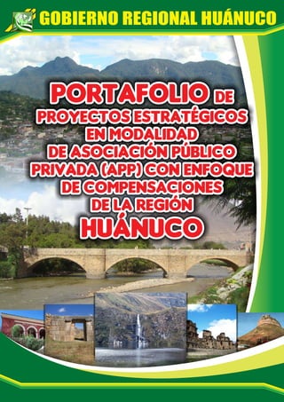 Portafolio de Proyectos Estratégicos APP de la Región Huánuco