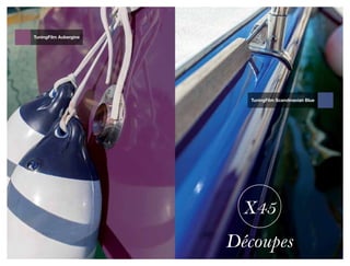 TuningFilm Aubergine




                          TuningFilm Scandinavian Blue




                         X45
                       Découpes
 