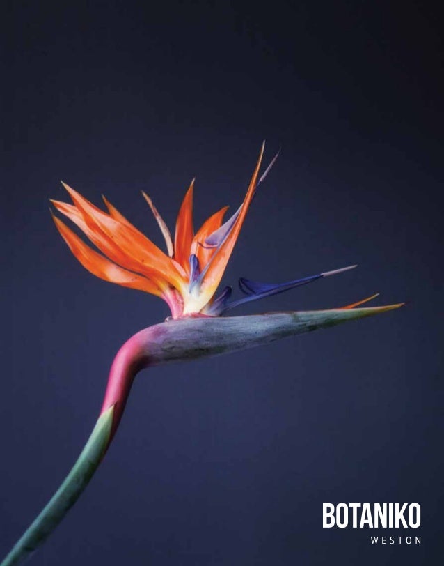 Brochure Botaniko Weston
