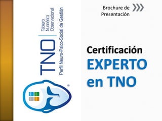 Brochure de
Presentación

Certificación

EXPERTO
en TNO

 