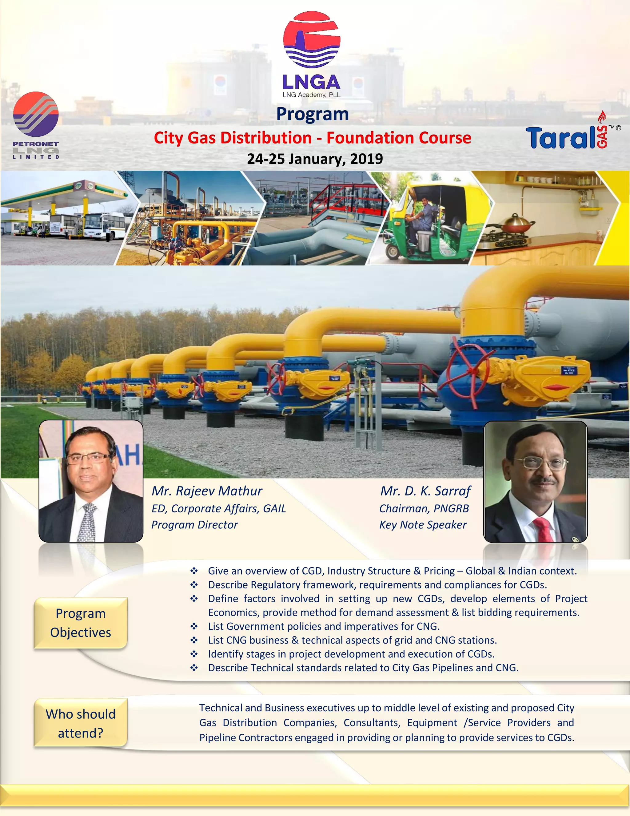 City Gas Distribution - Foundation Course | PDF