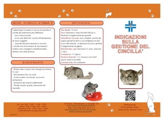 I Love Cincillà Sottobicchiere Set Di 4 - Divertente