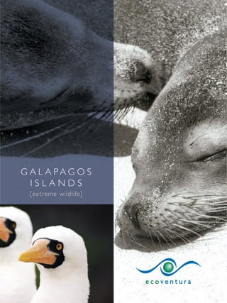 G A L A PAG O S
  ISLANDS
 [extreme wildlife]
 