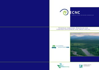 european centre for nature conservation




  European corridors: Strategies for
corridor development for target species
 