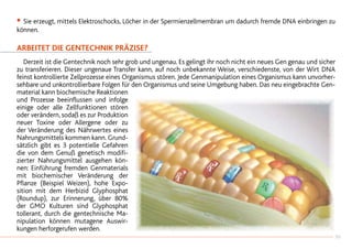 •		Sie erzeugt, mittels Elektroschocks, Löcher in der Spermienzellmembran um dadurch fremde DNA einbringen zu
können.
Arbeitet die Gentechnik präzise?
		Derzeit ist die Gentechnik noch sehr grob und ungenau. Es gelingt ihr noch nicht ein neues Gen genau und sicher
zu transferieren. Dieser ungenaue Transfer kann, auf noch unbekannte Weise, verschiedenste, von der Wirt DNA
feinst kontrollierte Zellprozesse eines Organismus stören. Jede Genmanipulation eines Organismus kann unvorher-
sehbare und unkontrollierbare Folgen für den Organismus und seine Umgebung haben. Das neu eingebrachte Gen-
material kann biochemische Reaktionen
und Prozesse beeinflussen und infolge
einige oder alle Zellfunktionen stören
oder verändern, sodaß es zur Produktion
neuer Toxine oder Allergene oder zu
der Veränderung des Nährwertes eines
Nahrungsmittels kommen kann. Grund-
sätzlich gibt es 3 potentielle Gefahren
die von dem Genuß genetisch modifi-
zierter Nahrungsmittel ausgehen kön-
nen: Einführung fremden Genmaterials
mit biochemischer Veränderung der
Pflanze (Beispiel Weizen), hohe Expo-
sition mit dem Herbizid Glyphosphat
(Roundup), zur Erinnerung, über 80%
der GMO Kulturen sind Glyphosphat
tollerant, durch die gentechnische Ma-
nipulation können mutagene Auswir-
kungen herforgerufen werden.
39
 