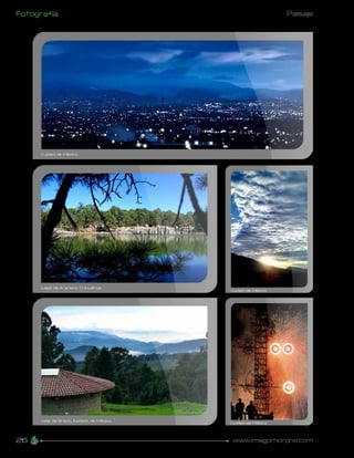 Fotografía               Paisaje




26           www.imagomorpho.com
 