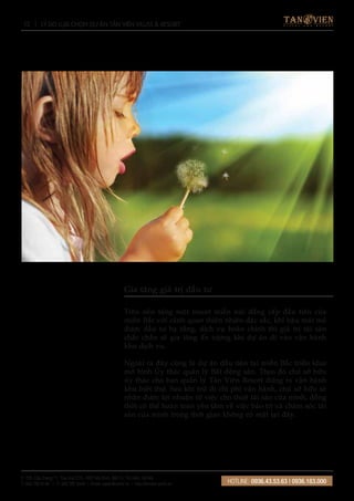 Brochure Final Tan Vien