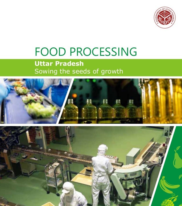 Brochure food processing for finance, subsidy & project related support