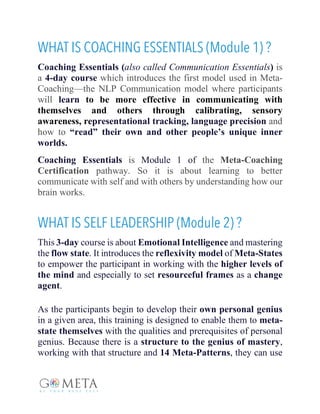 Meta Coaching Workbook Go Meta Training 2019 | PDF