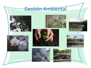 Gestión Ambiental 