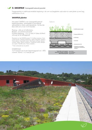2.

SAXATILIS

Samengesteld extensief groendak

Traaggroeiende en onderhoudsvriendelijke beplanting in de vorm van bergplanten zoals sedum en vaste planten op een laag
substraat (tot ± 8 cm).

SAXATILIS planten
Het systeem SAXATILIS is een samengesteld extensief
beplantingssysteem, samengesteld uit verschillende
sedumplanten en kleine vaste alpenplanten. De kleurrijke
bloei strekt zich uit over 5 à 8 maanden.
Plaatsing : volle zon tot halfschaduw
Bloeitijd : van de lente tot de herfst
Dichtheid beplanting : 12 à 15 stuks/m² (deze dichtheid
verhoogt met de hellingsgraad)
Plantenlijst voor het SAXATILIS-systeem (*): Achillea tomentosa, Carex
comans bronze, Cerastium tomentosum, Sedum arbustifolia, Dianthus,
Festuca glauca, Gypsophila repens, Petrorhagia saxifraga, Satureja
montana, Sedum, Alyssum montanum, Campanula muralis, Delosperma cooperi, Potentilla aurea, Thymus serpyllum...
* Niet contractuele lijst van planten

ONDERHOUD:
3 à 4 maal per jaar tot een begroeiingsgraad van > 80%
is bereikt. Daarna 1 à 2 maal per jaar.

Samengestelde extensieve vegetatie SAXATILIS
Opbouw

Door middel van SAXATILIS planten uit potjes

6. SAXATILIS planten uit potjes

5. Substraat SAXATILIS (8 cm)

4. ECOTEX filter

3. Drain AG45

2. Absorberende mat TR3
1. Ondergrond met tweelaagse
waterdichting in wortelwerende
Derbigum®

Totale dikte van het systeem: ong. 13 cm
Gewicht bij volledige verzadiging: ong. 120 kg/m2
Waterretentiecapaciteit: ong. 37 l/m2

13

 