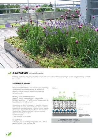 3.

LAVANDULIS

half-intensief groendak

Half-hoge beplanting met gering onderhoud in de vorm van kruiden en kleine struikachtigen op een aangepaste laag substraat
(tot ±15 cm).

LAVANDULIS planten
Het systeem LAVANDULIS is een semi-intensieve beplanting
samengesteld uit verschillende vaste en aromatische
planten zodat een oneindig aantal combinaties kan
gemaakt worden.
Plaatsing : volle zon tot halfschaduw
Bloeitijd : kleurrijk, verspreid over 5 à 8 maanden
Dichtheid beplanting : 12 à 15 stuks/m² uitgezonderd de
lavendelsoorten : 3 à 5 stuks/m²
Plantenlijst voor het LAVANDULIS-systeem (*): Anacyclus, Centranthus
ruber, Crassula sarcocaulis, Festuca amethystina, Hyssopus officinalis,
Lonicera nitida, Lavandula angustifolia, Oenothera fruticosa, Scabiosa
alpina ritz blue, Stipa tenuifolia, Thymus officinalis, Armeria maritima,
Frankenias laevis, Geranium sanguineum, Matricaria caucasica,
Nepeta mussinii, Origanum vulgare,
Phuopsis crucianella...
* Niet contractuele lijst van planten

ONDERHOUD:
4 maal per jaar tot een begroeiingsgraad van > 80% is
bereikt. Daarna 3 à 4 maal per jaar.

14

Half-intensieve vegetatie LAVANDULIS
Opbouw

Door middel van LAVANDULIS planten uit potjes

6. LAVANDULIS planten uit potjes

5. Substraat LAVANDULIS (15 cm)

4. ECOTEX filter
3. Drain DR40
2. Absorberende mat SP7
1. Ondergrond met tweelaagse
waterdichting in wortelwerende
Derbigum®

Totale dikte van het systeem: ong. 20 cm
Gewicht bij volledige verzadiging: ong. 235 kg/m2
Waterretentiecapaciteit: ong. 88 l/m2

 